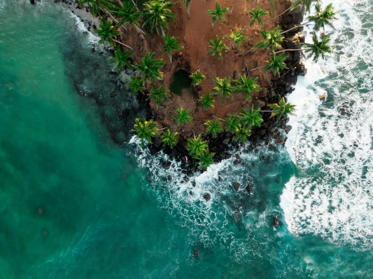 Mirissa Sri Lanka's Coastal Paradise