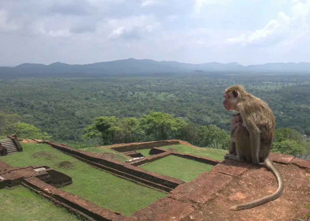 Sigiriya The Ancient Rock Fortress of Sri Lanka